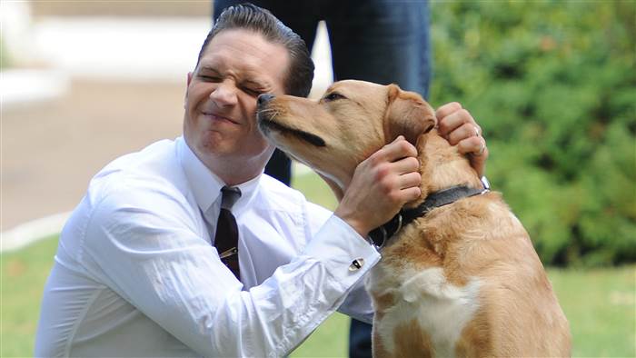 La carta de Tom Hardy a su perrito te sacarÃ¡ una lagrimita Remi
