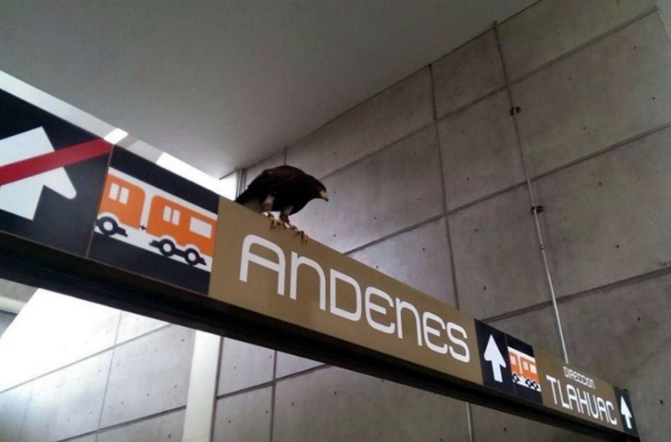 El metro nopalera recibiÃ³ la seÃ±al sagrada