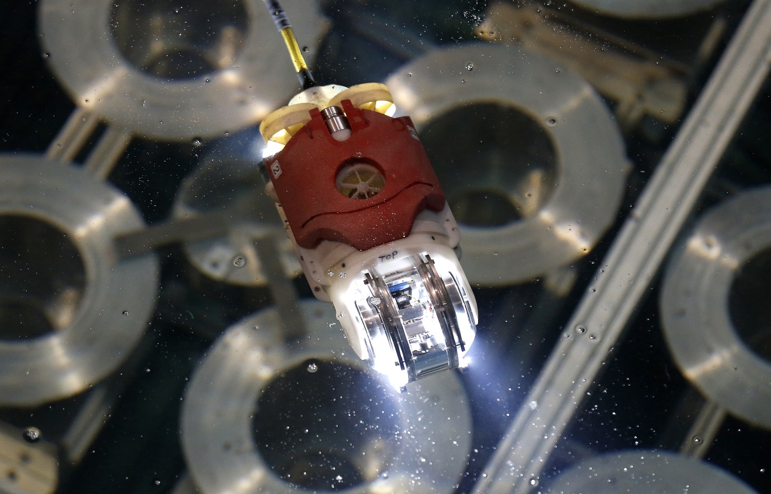 Robot pez luna, explorador de Fukushima