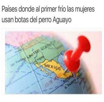 Botas del perro aguayo meme méxico
