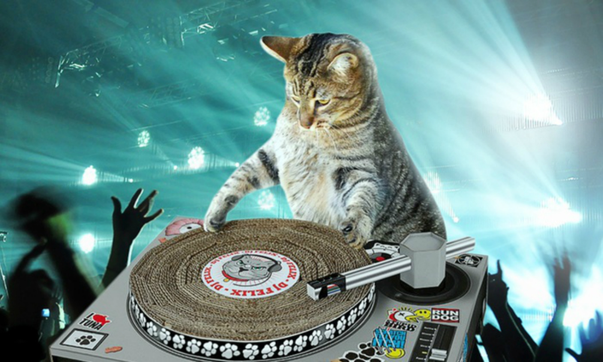 Día Internacional del gato dj cover