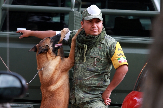 Perro de rescate con su compañero