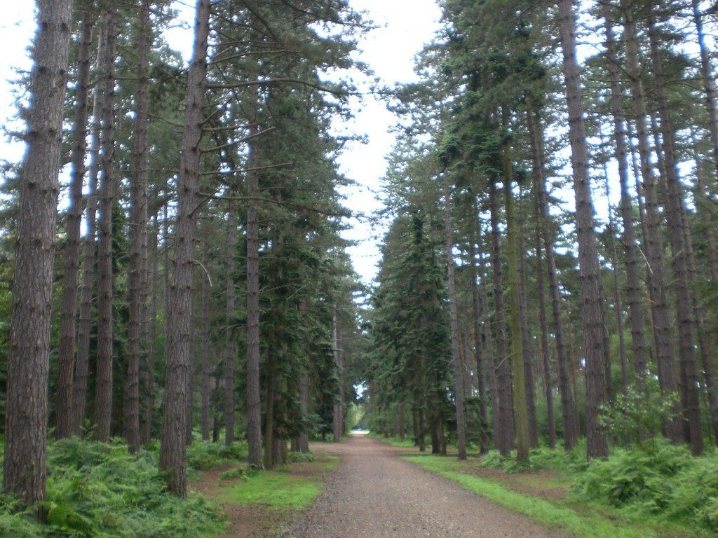 Los lugares que todo fan de Harry Potter debe visitar