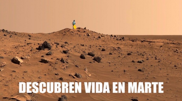 Negro de Whatsapp, John Umweto, Negro, Whatsapp, Meme, Teléfono