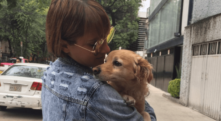 Mascotas, Dueños, Reencuentros, Sismo, Perros, Gatos