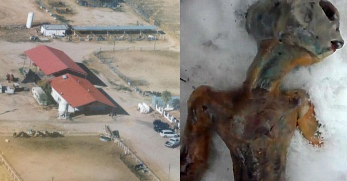 Rancho Alien