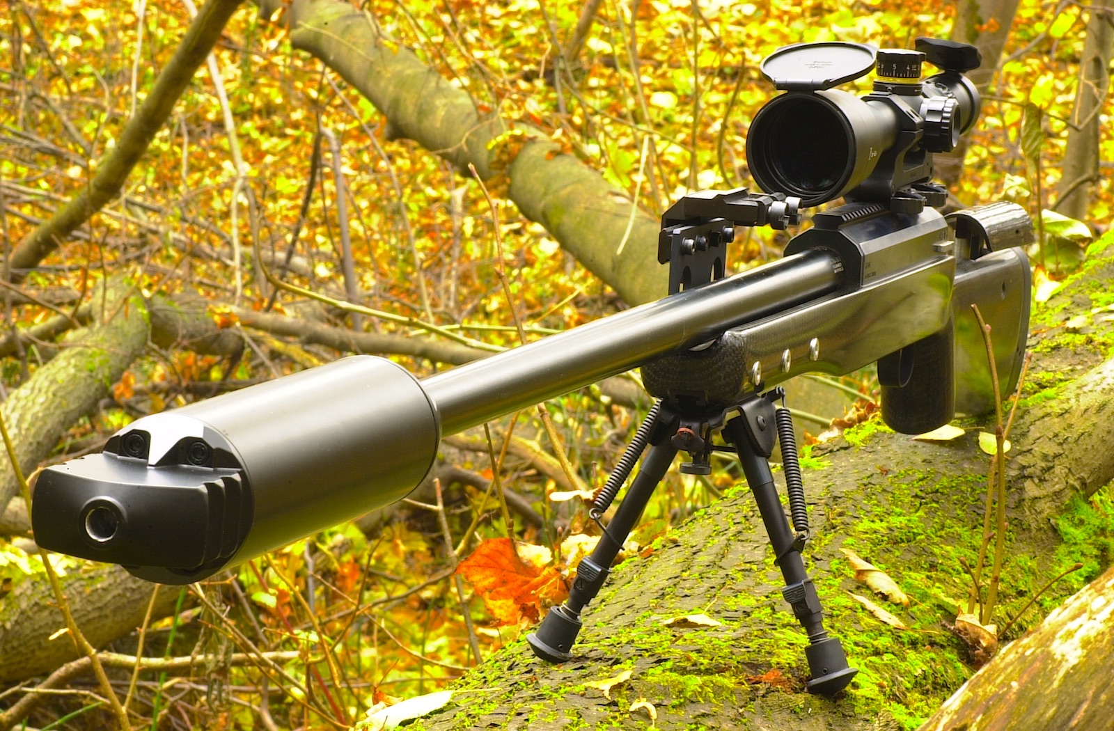Rifle SVLK-14S