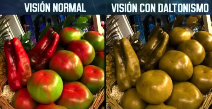 Un vistazo al mundo de los daltónicos, ¿cómo perciben ellos el mundo?