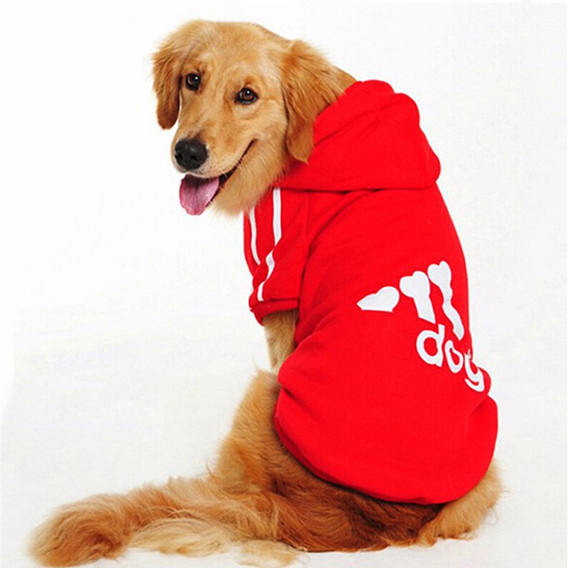 Fotos Frida, Fotos Perritos, Memes, Fotos, Frida, Perrita