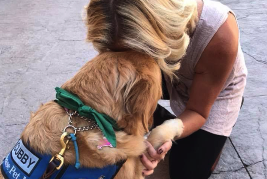 Perros terapÃ©uticos viajan a Las Vegas para ayudar a vÃ­ctimas del tiroteo