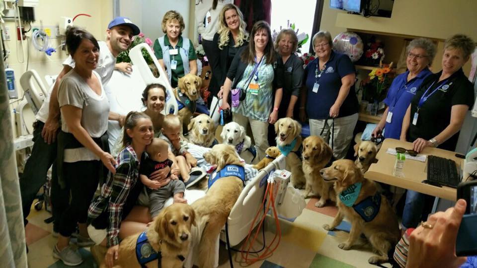 Perros terapéuticos viajan a Las Vegas para ayudar a víctimas del tiroteo