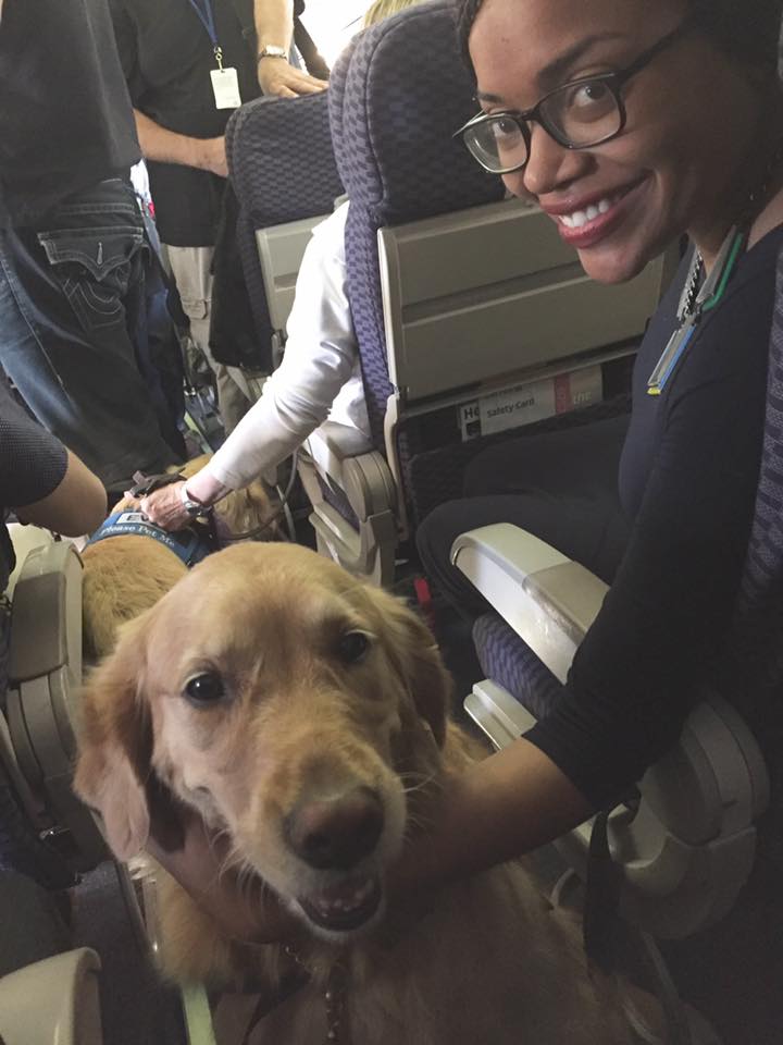 Perros terapéuticos viajan a Las Vegas para ayudar a víctimas del tiroteo