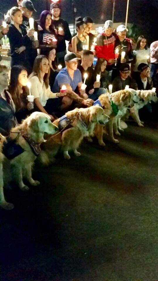 Perros terapéuticos viajan a Las Vegas para ayudar a víctimas del tiroteo