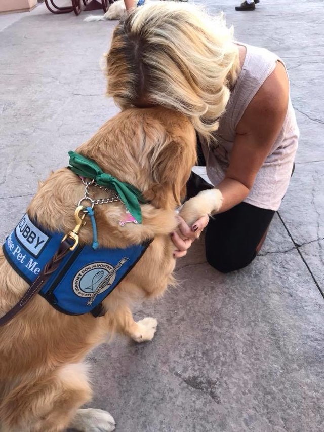 Perros terapéuticos viajan a Las Vegas para ayudar a víctimas del tiroteo
