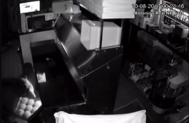 Una mamá oso y sus dos ositos entraron a cenar a una pizzería