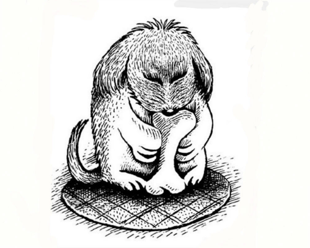 Ilustración Valentin Dubinin, cara y perro