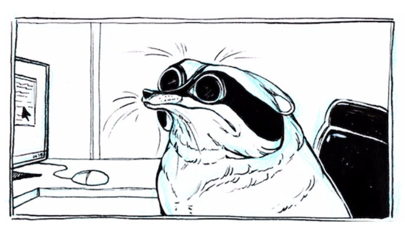 CÃ³mic, Responsabilidades, Mapache, Vida, Adulto, Dibujo