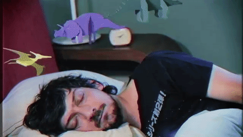 Leon larregui dormido