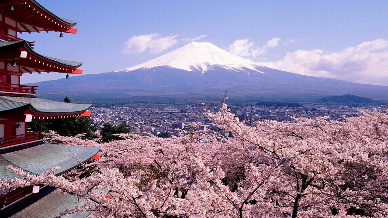 Si vas a Japón, evita hacer cualquiera de estas cosas