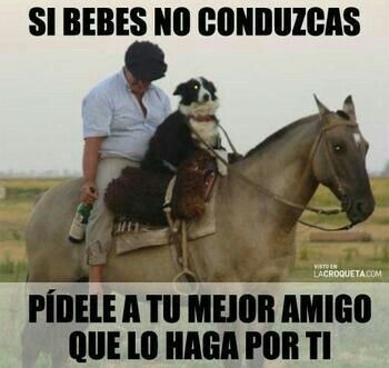 Guadalupe Reyes, Maraton, El guadalupe Reyes, Memes guadalupe reyes