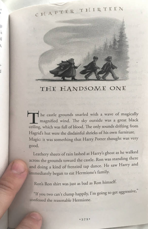 Harry Potter, Portrait of what looked like a large Pile of Ash