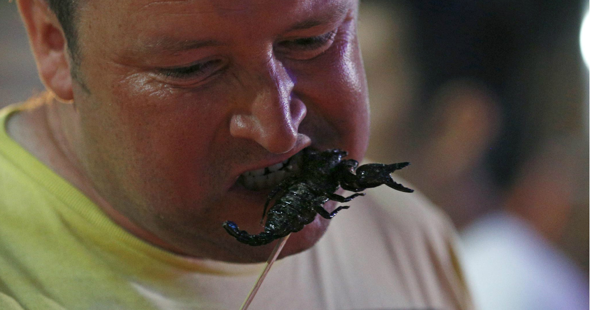 Insectos, Chapulines, Comida, Estados Unidos, Gringos, Comer insectos, Comida Mexicana