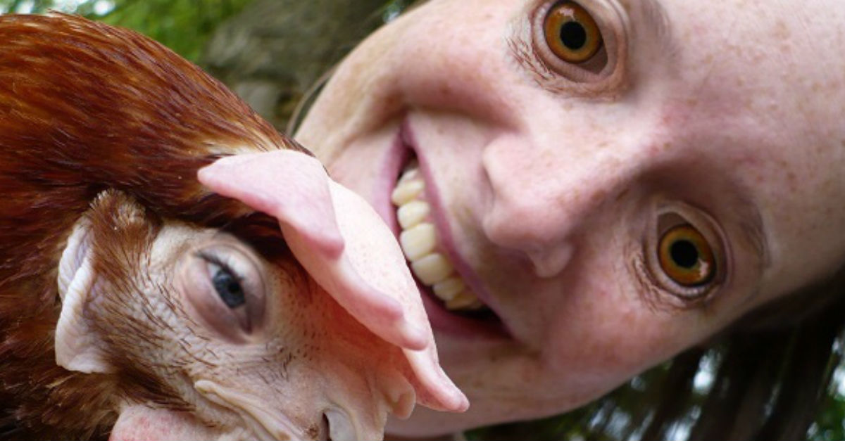 Pollo_Mutante
