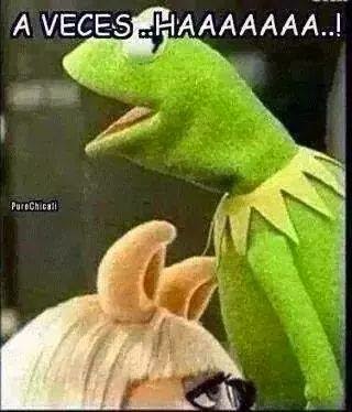 memes-rana-rene-memes