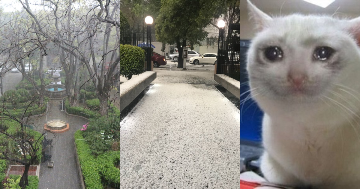 Reacciones de la primera lluvia del año en la CDMX