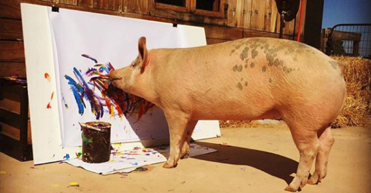 Cerdo Pintor-Cerdo que pinta-Pigcasso-Cerdo