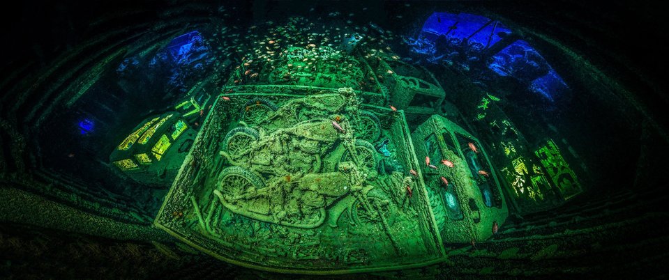 Estos fotógrafos ganaron premio a la mejor fotografía bajo el agua