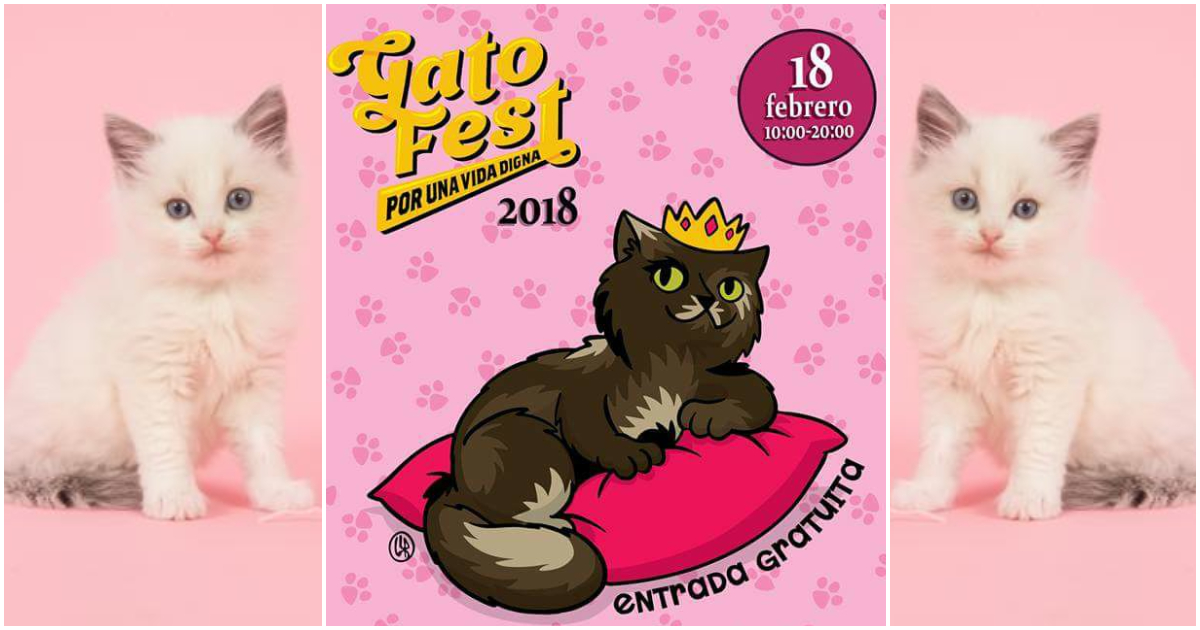 Gato Fest 2018
