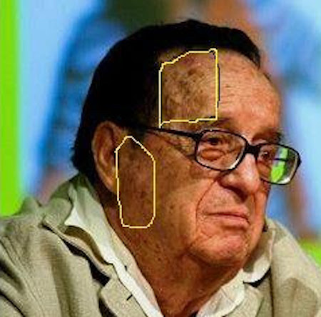 Reptiliano famoso