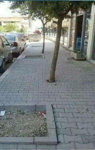 don-pendejo-meme-memes-humor-fotos-graciosas-chistosas-11