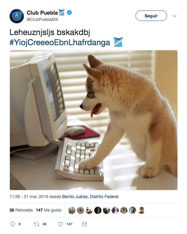 Equipo Perrito Redes Sociales Liga MX Puebla 3