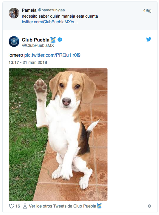 Equipo Perrito Redes Sociales Liga MX Puebla 5