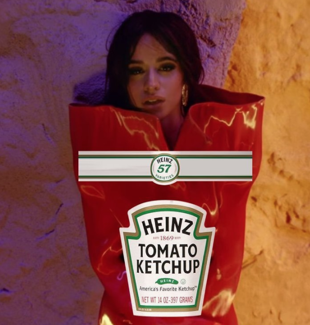Camila Cabello Never be the same 