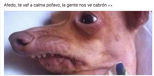 alfredo-calmate-por-favo-meme-2