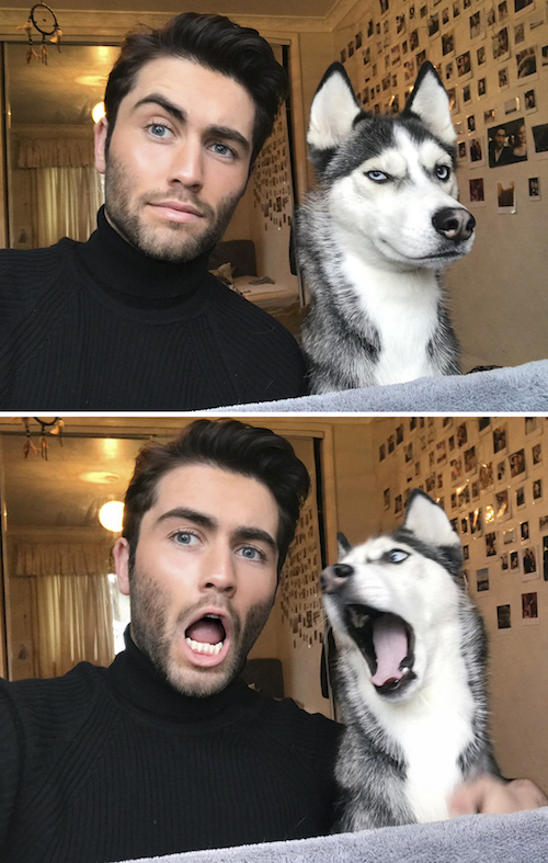Fotos adorables de personas imitando a sus mascotas 