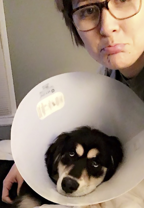 Fotos adorables de personas imitando a sus mascotas 