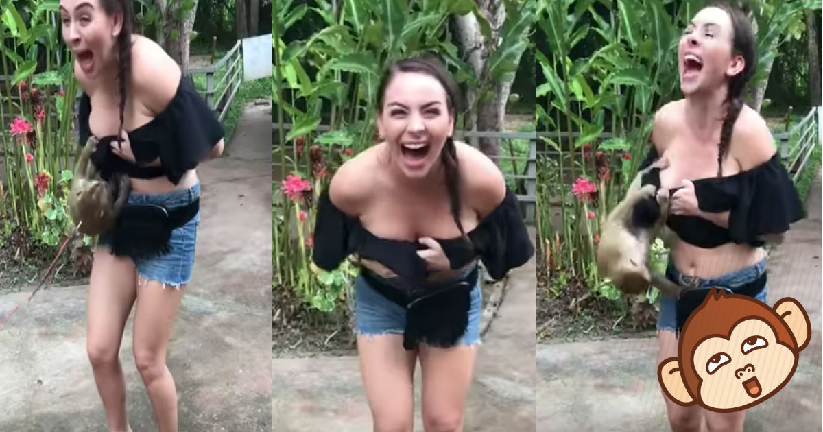 Video: Pequeño mono deja topless a turista