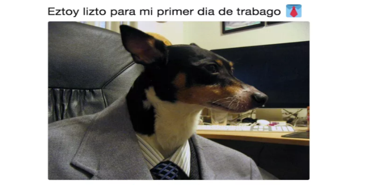 Equipo Perrito Redes Sociales Liga MX Puebla