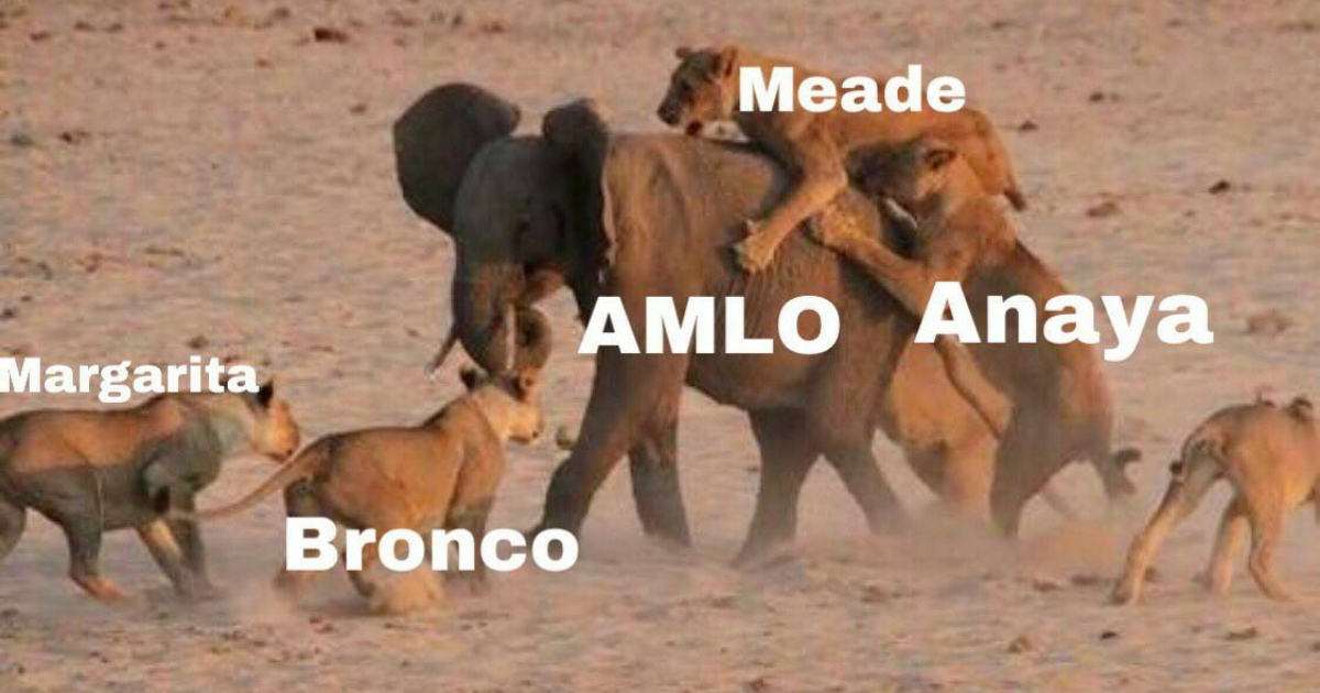 Amlo memes debate presidencial