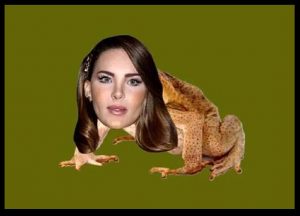 Sapito