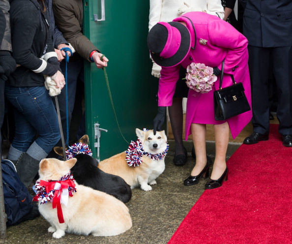 Willow el último corgi de la reina muriò