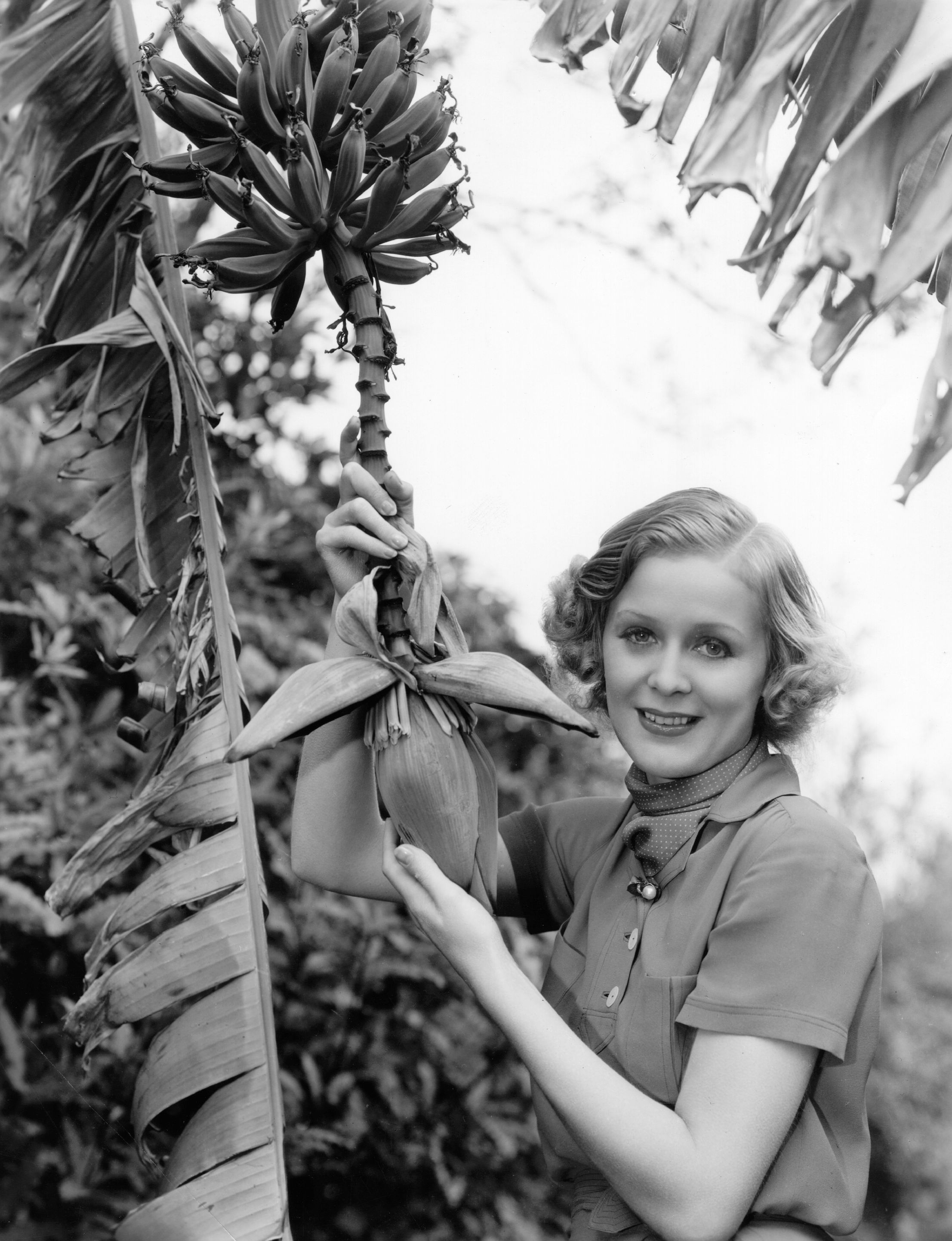 Gloria Stuart se vei asi cuando joven