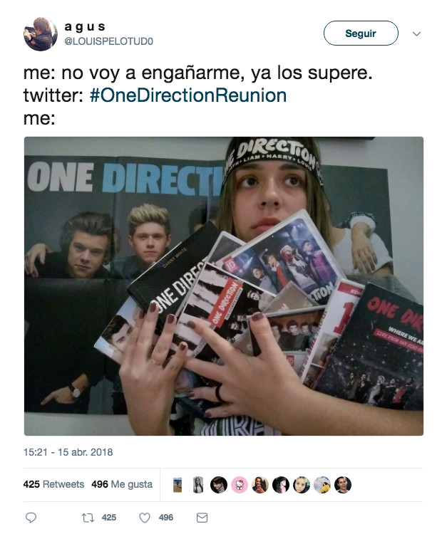 One Direction Reunion