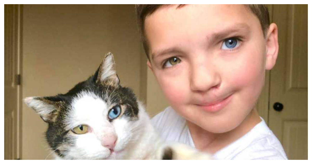 NiÃ±o y su gato con heterocromia