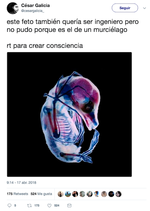 Meme-Feto-1