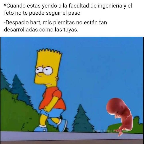 Meme-Feto-15